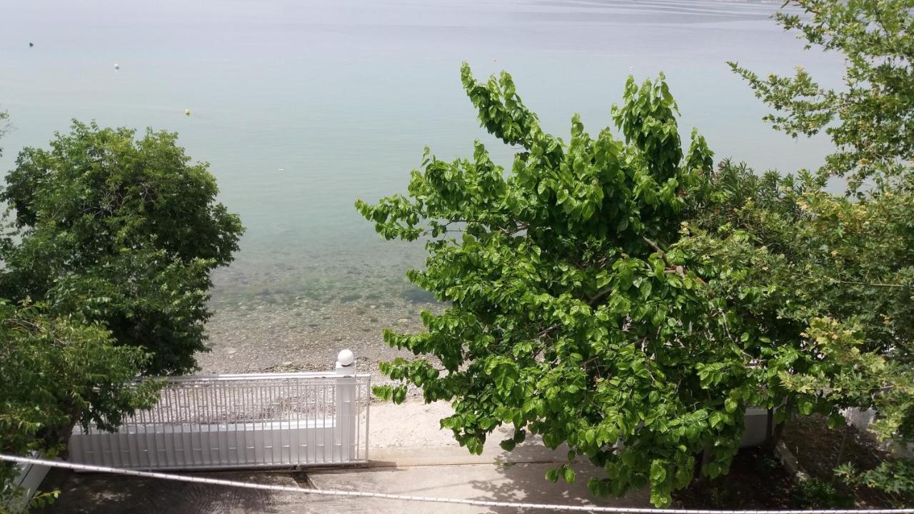 Akrogiali أغيوكامبوس المظهر الخارجي الصورة