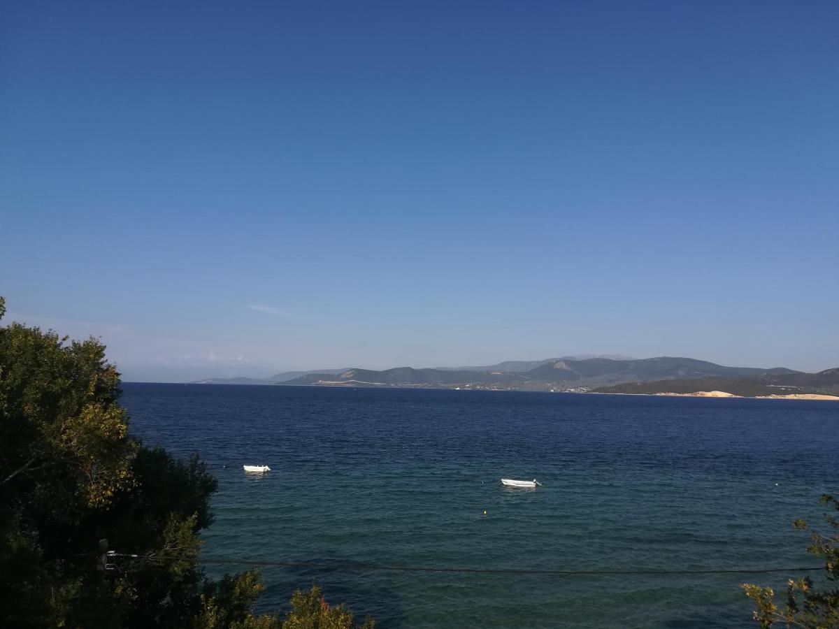 Akrogiali أغيوكامبوس المظهر الخارجي الصورة